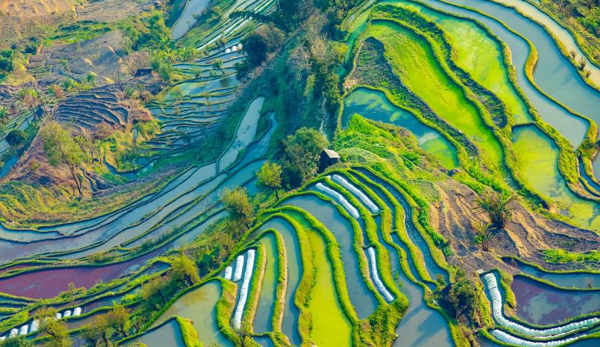 走进禄劝TVC拍摄：解锁本地化场景与创意镜头的完美融合